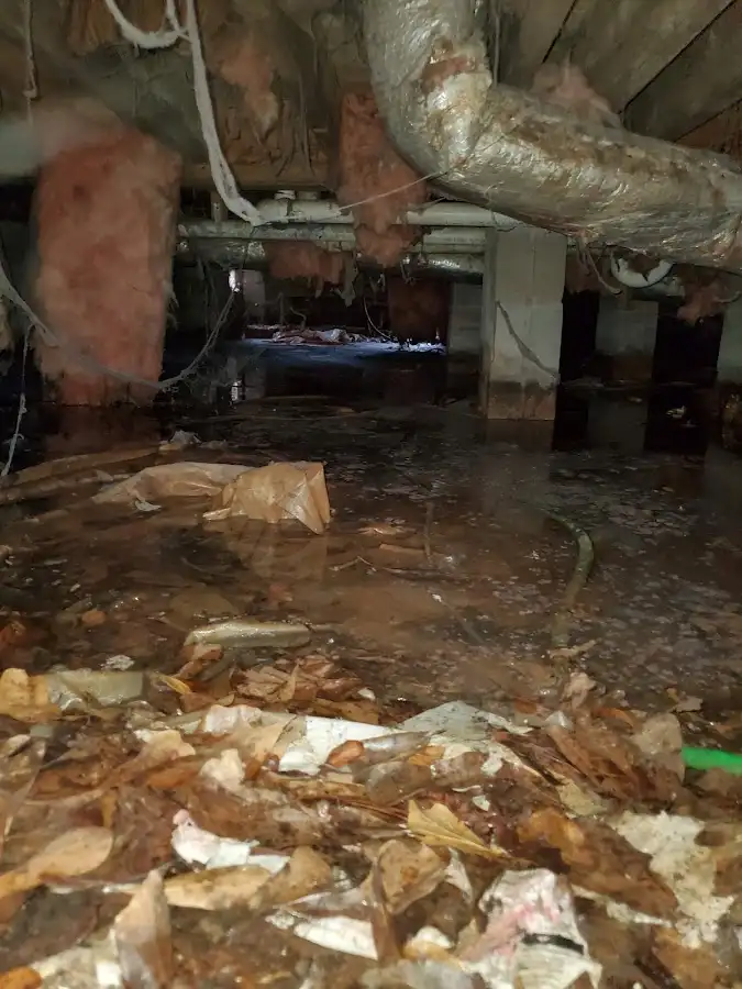 Crawl space flood assessment for Leak Detection & Repair in Danville